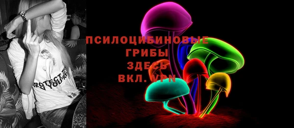 дмт Богданович