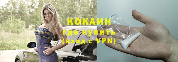 гидра Богородицк