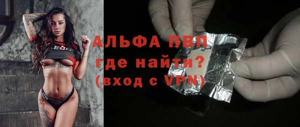 дмт Богданович