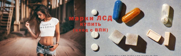 гидра Богородицк