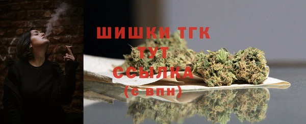 гидра Богородицк