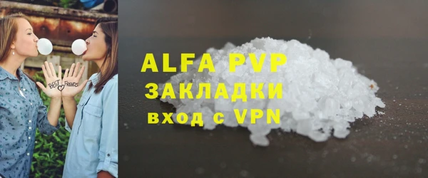 дмт Богданович