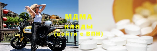гидра Богородицк