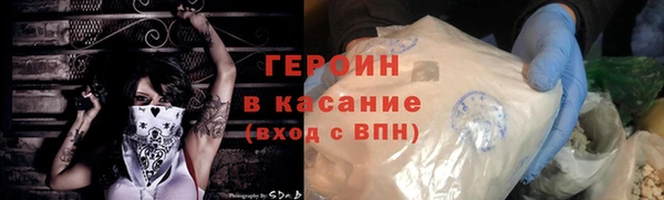 гидра Богородицк