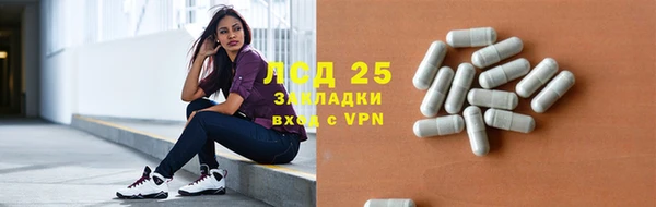 дмт Богданович