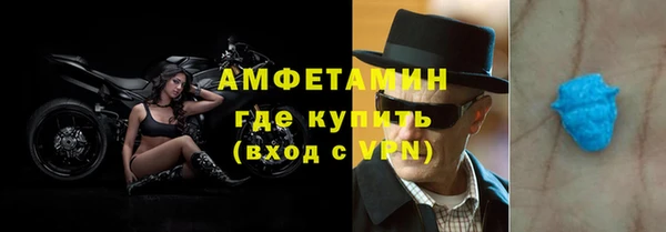 дмт Богданович