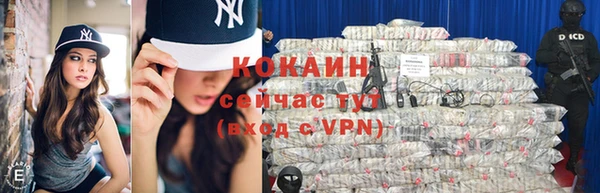 дмт Богданович