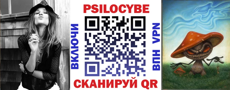 наркота  Катайск  Псилоцибиновые грибы Cubensis 