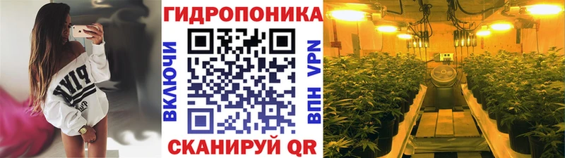 Каннабис планчик  где продают   Катайск 